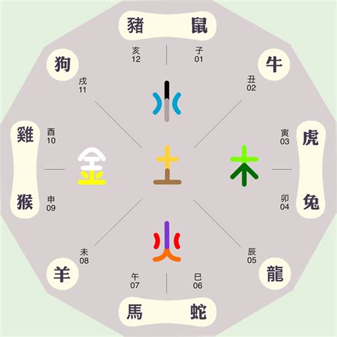 地支 五行屬性|地支与五行